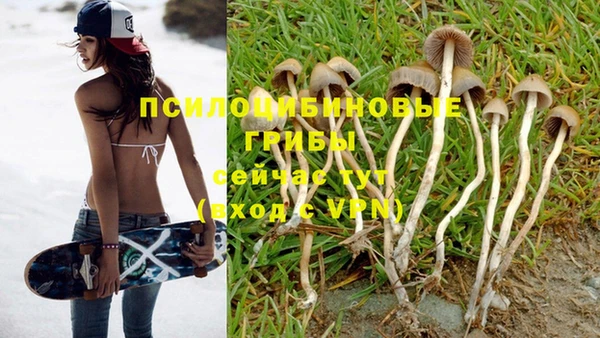 крисы Нефтегорск