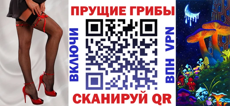 Псилоцибиновые грибы мицелий Отрадное